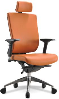 Promax Chair