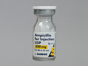 Ampicillin Injection