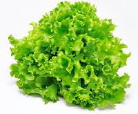 lettuces