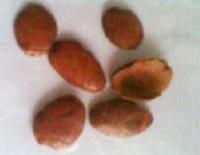 obgo mono seeds