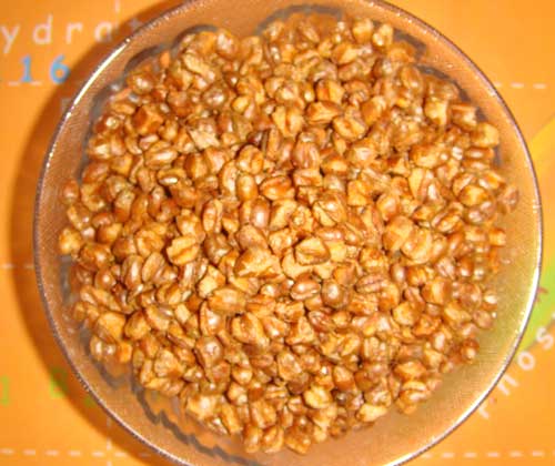 Roasted Wheat