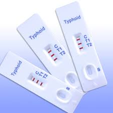 typhoid rapid test kit