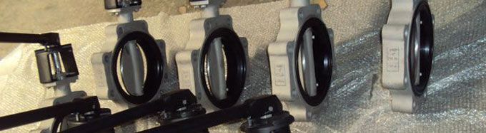 Single Piece Molded Seat Concentric Butterfly Valve 