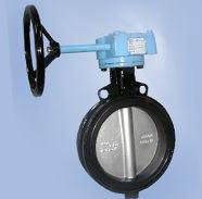 Single Piece Replaceable Seat Concentric Butterfly Valve