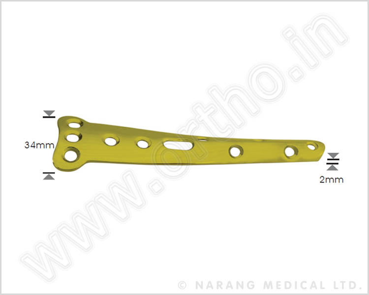 Large Fragment - Standard Implants - Spoon Plate 4.5