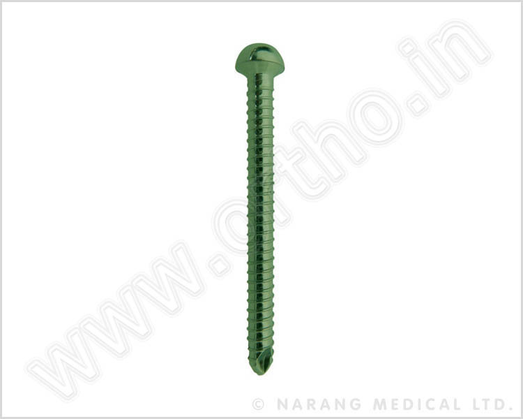 4mm Femoral Nails