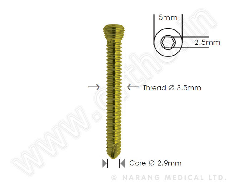 Small Fragment - Safety Lock Screw 3.5mm - Self Tapping