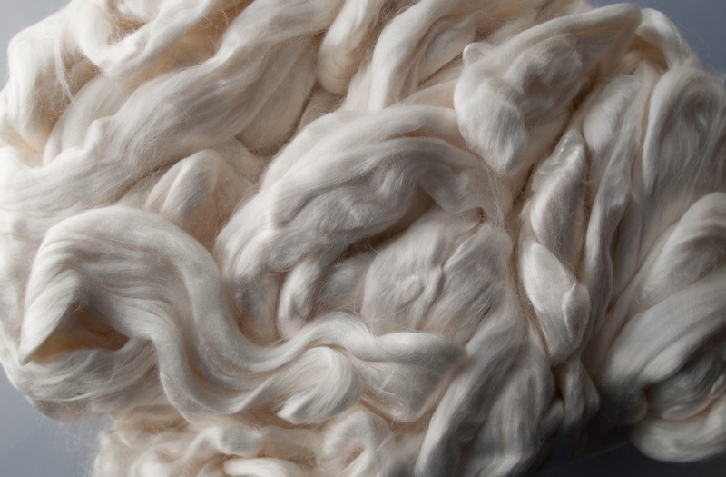 Cellulose Fibers Manufacturer Exporters From Mumbai India