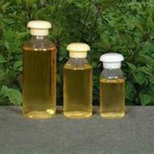 Basil Oil