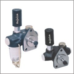 Bosch Type Cast Iron Feed Pumps
