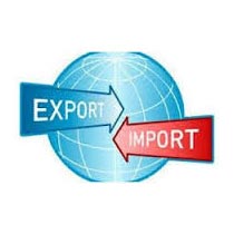 Import Export Licence