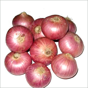Onion, Color : Red