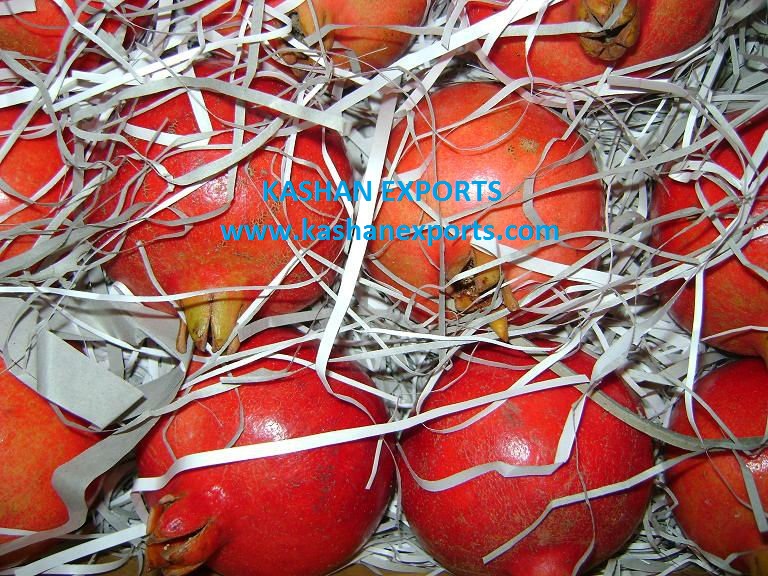 Pomegranate, Certification : apeda