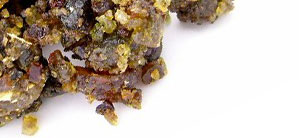 Boswellia Serrata Extract