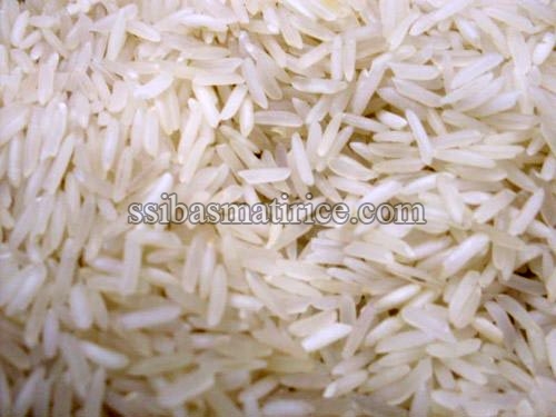 Hard Organic 1121 Raw Rice, for Gluten Free, High In Protein, Packaging Size : 10kg, 20kg, 25kg