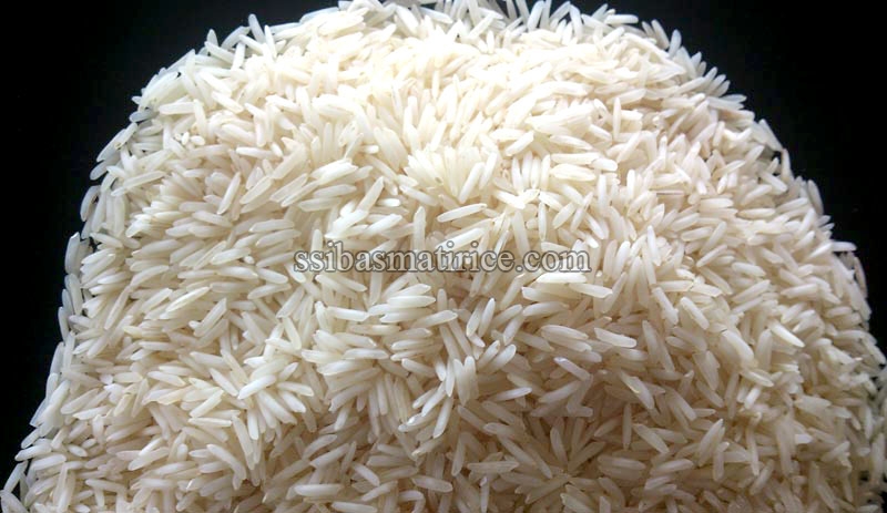 Hard Organic Pusa Basmati Raw Rice, for Gluten Free, High In Protein, Packaging Size : 10kg, 25kg