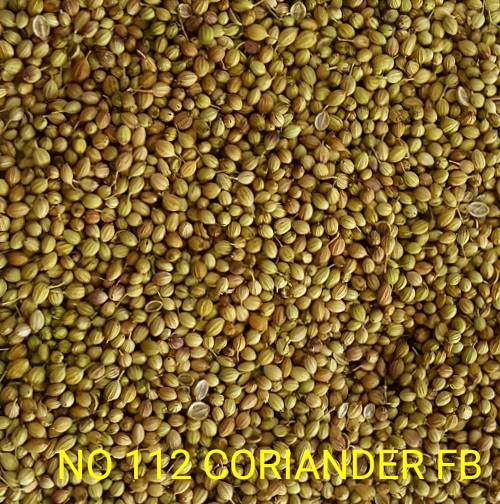 FB Coriander Seeds