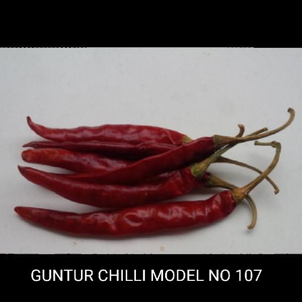 Guntur Dried Red Chilli