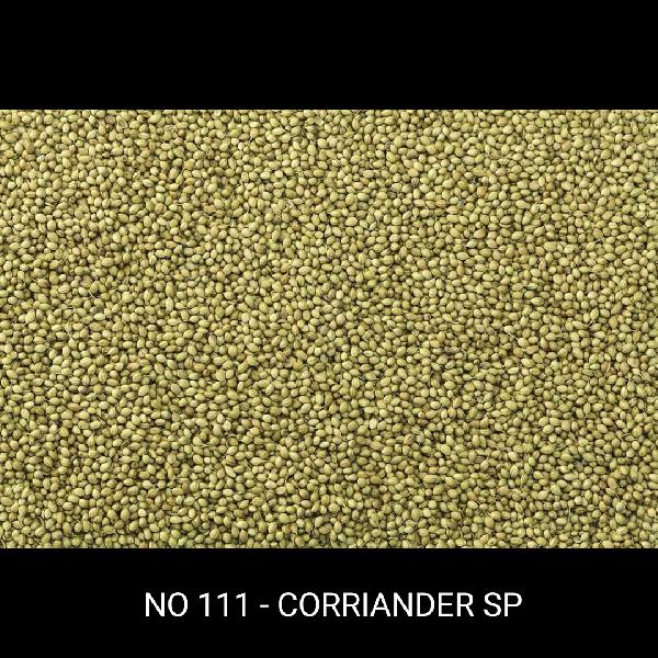 SP Coriander Seeds