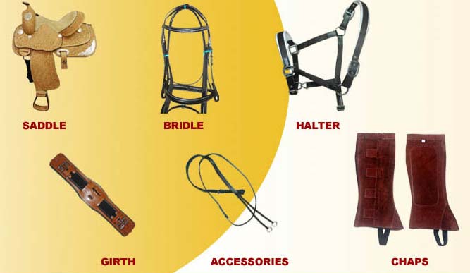Horse Equestrian Products