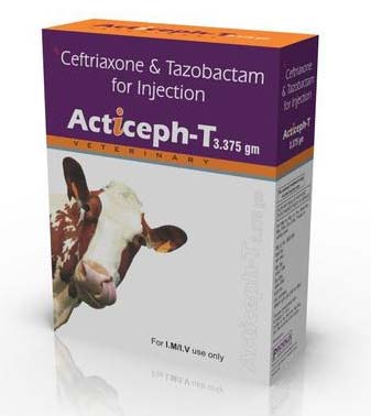 Acticeph-T Injection (3.375 gm)