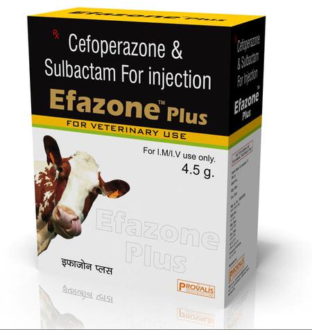 Efazone Plus Injection