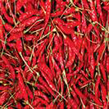 Dried Red Chilli