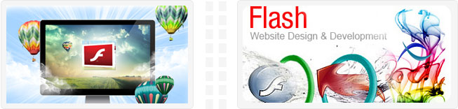 flash websites services