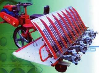 Paddy Transplanter 555