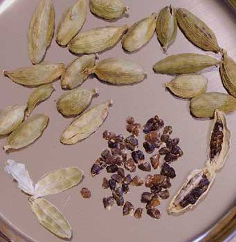 Cardamoms