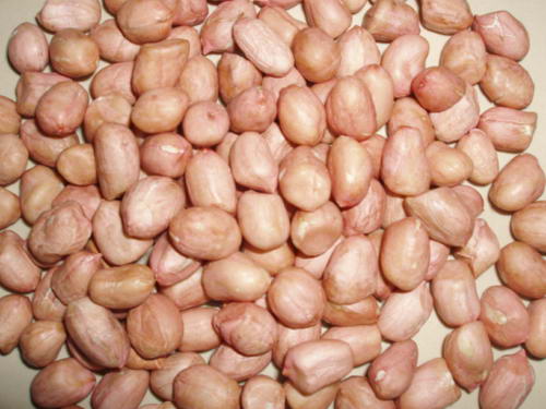 Peanut Suppliers