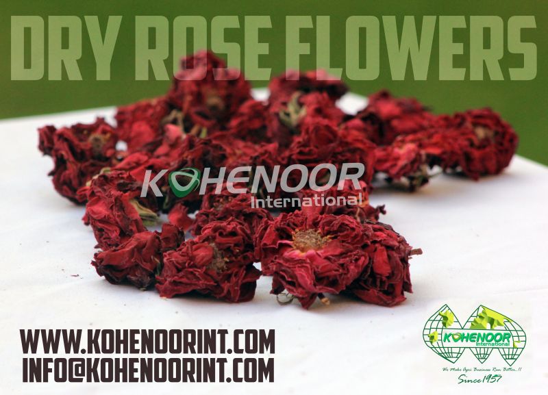 Dried Rose Flowers Buy dried rose flowers in Sindh Pakistan from