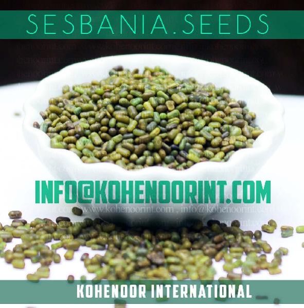 sesbania seeds
