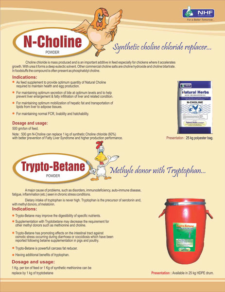 N Choline, Trypto Betaine