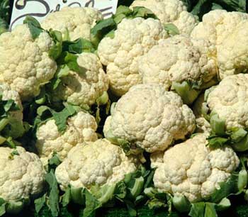 Fresh Cauliflower