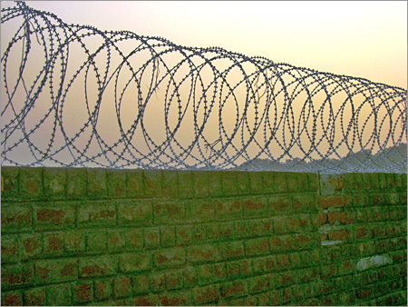 Concertina Coils Wire Fence