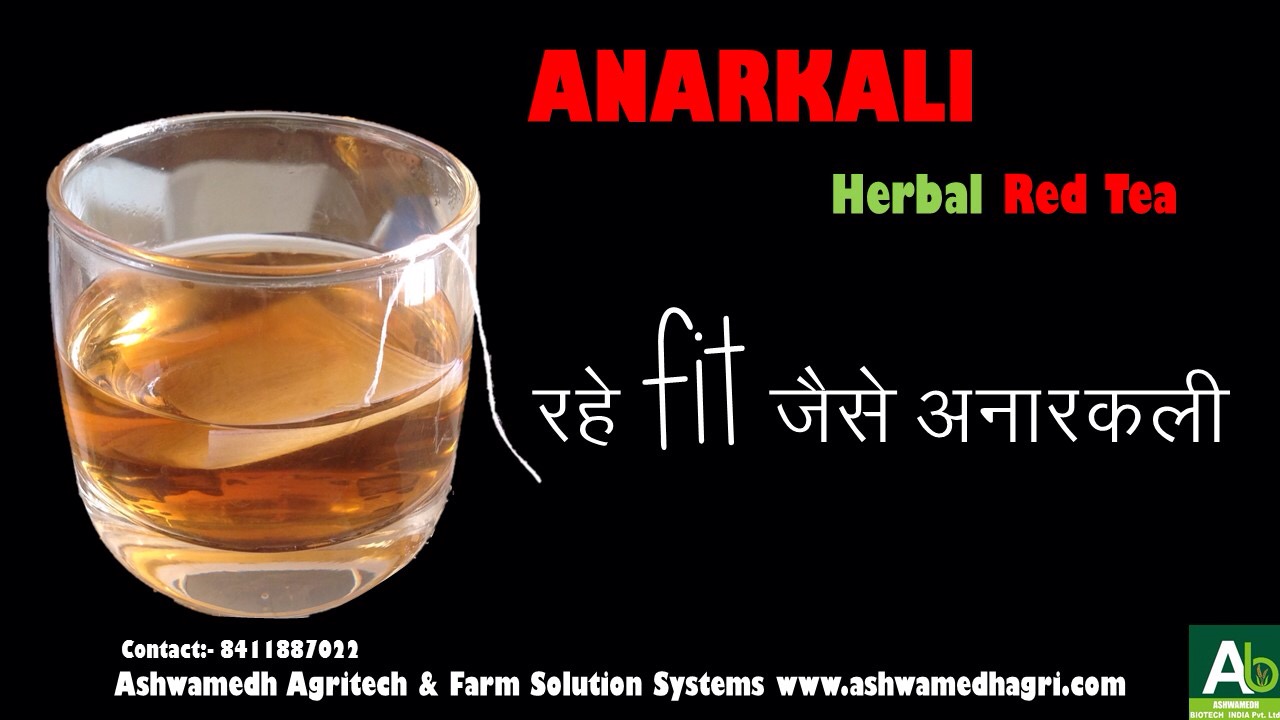 Anarkali Herbal Red Tea
