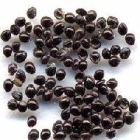 Medicinal Plant Seeds