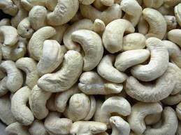 Plain Cashew