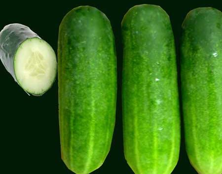 Fresh Cucumber,fresh cucumber