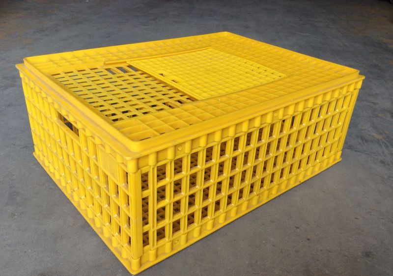 Plastic Chicken Transport Crate by NAGARAJA ENGINEERING WORK SHOP, Plastic Chicken Transport