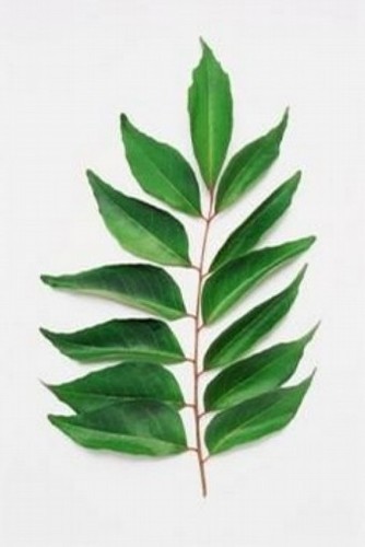 Dehydrated Sweet Curry Leaves