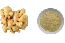 Freeze Dried Ginger Powder