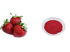 Freeze Dried Strawberry Powder