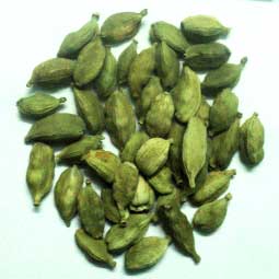 cardamom