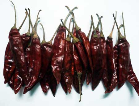 Dried Red Chilli