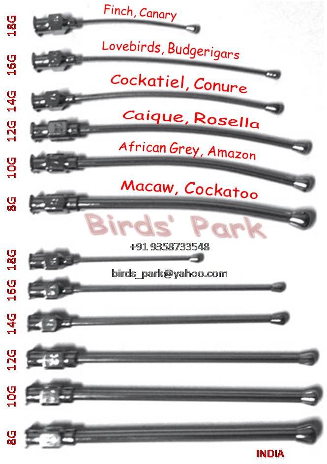 Birds' park Reusable Feeding needle curved-straight