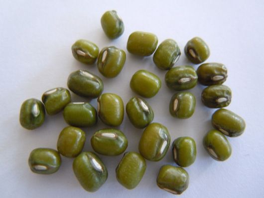green mung beans