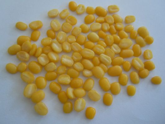 Green Mung Beans Huskless Split