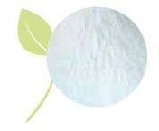 Zinc Sulphate Monohydrate